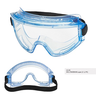 ZN11 PANORAMA SUPER closed safety goggles (PC) (21130), clear lens
