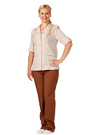 CLEANING ladies  work suit (brown)