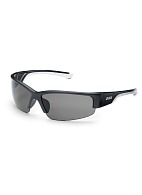 POLAVISION safety spectacles (9231960)