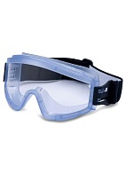 ZN11 PANORAMA NORD safety goggles (PC) (21147), clear lens