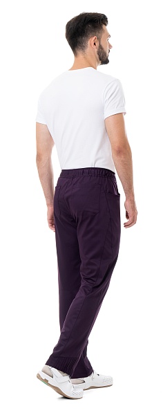 STAN men's trousers, plum