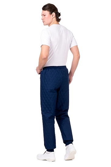 FRIDGE cold-insulated trousers, blue