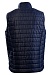 EXPO men's insulated vest