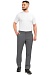 &quot;EXPO&quot; Men's Chino Trouser (Grey)